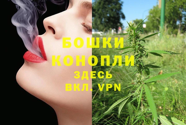 первитин Арсеньев