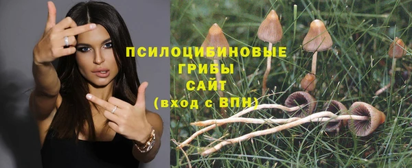 первитин Арсеньев
