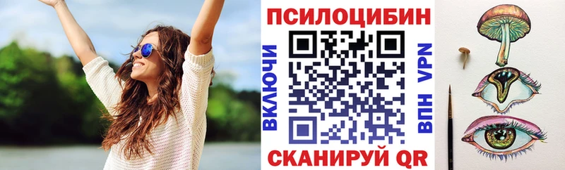 цена наркотик  Буй  Галлюциногенные грибы Psilocybine cubensis 
